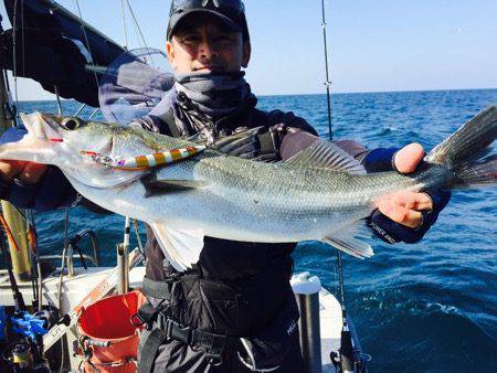 シーモンキー 釣果