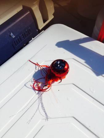 シーモンキー 釣果