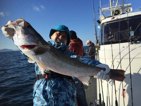 シーモンキー 釣果