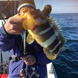 シーモンキー 釣果