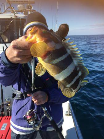 シーモンキー 釣果