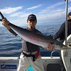 シーモンキー 釣果