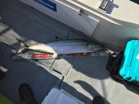 シーモンキー 釣果