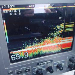 シーモンキー 釣果