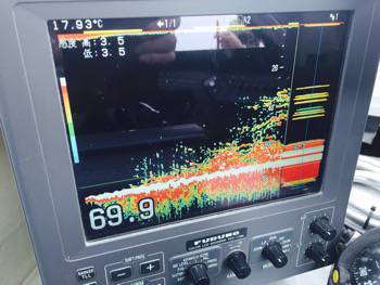 シーモンキー 釣果