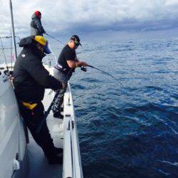 シーモンキー 釣果