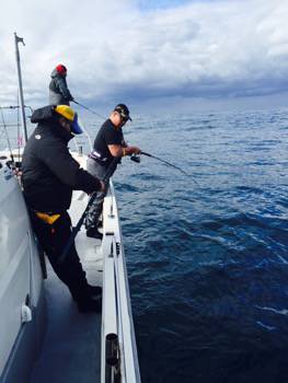 シーモンキー 釣果