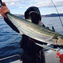 シーモンキー 釣果