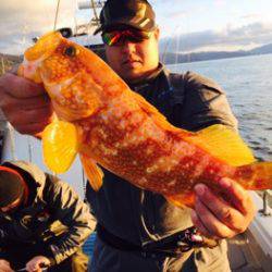 シーモンキー 釣果