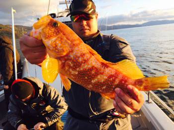 シーモンキー 釣果