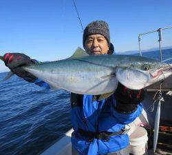 ブルーズ 釣果