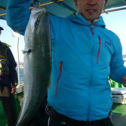 恵比寿丸（兵庫） 釣果