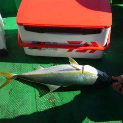 恵比寿丸（兵庫） 釣果