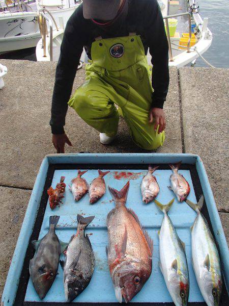 久六釣船 釣果