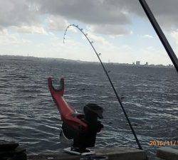 クルーザーフィッシングトムトム 釣果