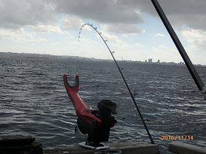 クルーザーフィッシングトムトム 釣果