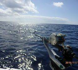 クルーザーフィッシングトムトム 釣果
