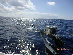 クルーザーフィッシングトムトム 釣果