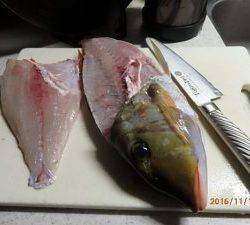 クルーザーフィッシングトムトム 釣果