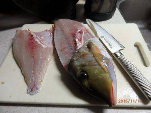 クルーザーフィッシングトムトム 釣果