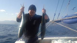 大喜丸 釣果