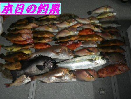 幸和丸 釣果