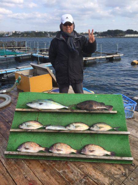 みうら海王 釣果