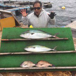みうら海王 釣果