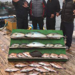 みうら海王 釣果