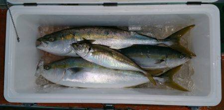 火遠理丸（ほおりまる） 釣果