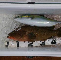 火遠理丸（ほおりまる） 釣果