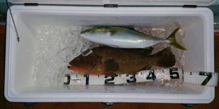 火遠理丸（ほおりまる） 釣果