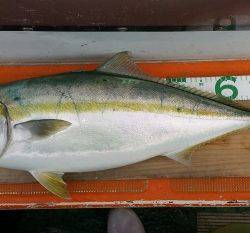 火遠理丸（ほおりまる） 釣果