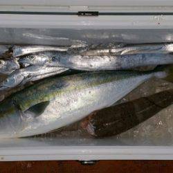 火遠理丸（ほおりまる） 釣果