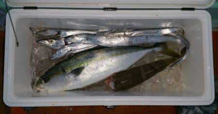 火遠理丸（ほおりまる） 釣果