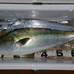 火遠理丸（ほおりまる） 釣果