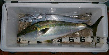 火遠理丸（ほおりまる） 釣果