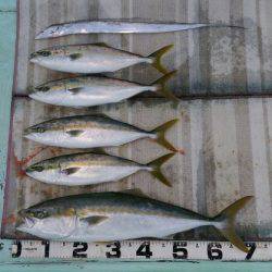 火遠理丸（ほおりまる） 釣果