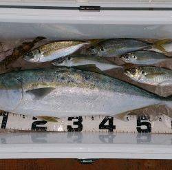 火遠理丸(ほおりまる) 釣果