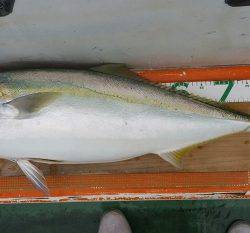 火遠理丸（ほおりまる） 釣果