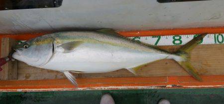 火遠理丸（ほおりまる） 釣果