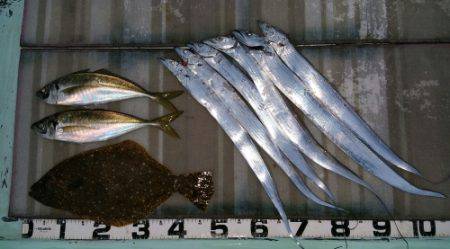 火遠理丸（ほおりまる） 釣果