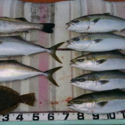 火遠理丸（ほおりまる） 釣果