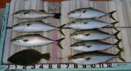 火遠理丸（ほおりまる） 釣果