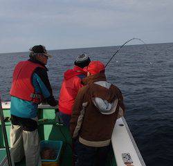 第二むつ漁丸 釣果