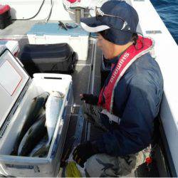 第二大福丸 釣果