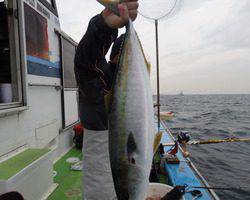 久里浜黒川本家 釣果