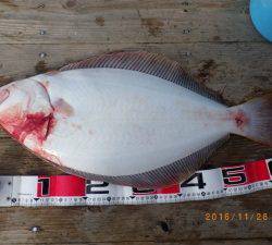 石川丸 釣果