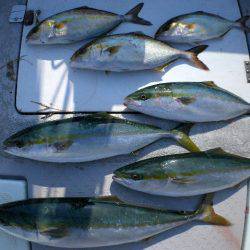 TOPGUN名古屋 釣果