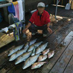 海上釣堀フィッシングレインボー 釣果